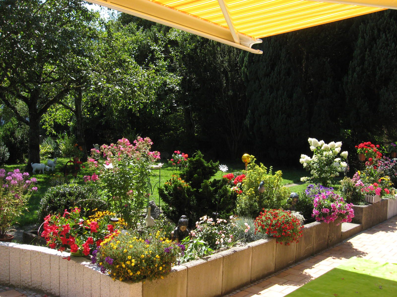 Haus am Kurpark - Ferienwohnung "Alpenblick" Süd-Terrasse